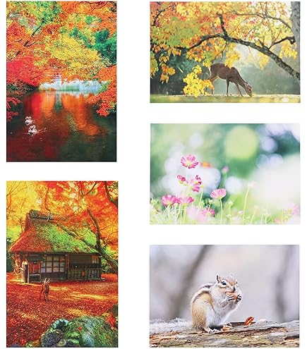 Amazon.co.jp: 憂国のモリアーティ 16巻 喜久屋書店特典 イラスト